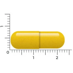 Vitakruid Berberine 500 Rebersa -Metagenics Winkel 1029807 4