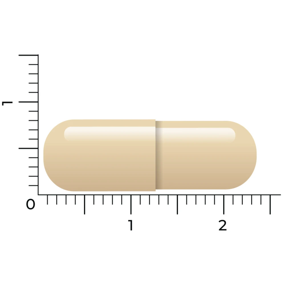 Vitakruid DIM Complex 7 Vitakruid DIM Complex - Afbeelding 5