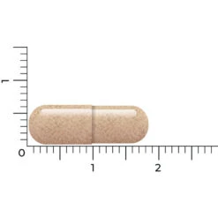 Vitakruid Lactoferrine 150 Mg -Metagenics Winkel 1054157 4