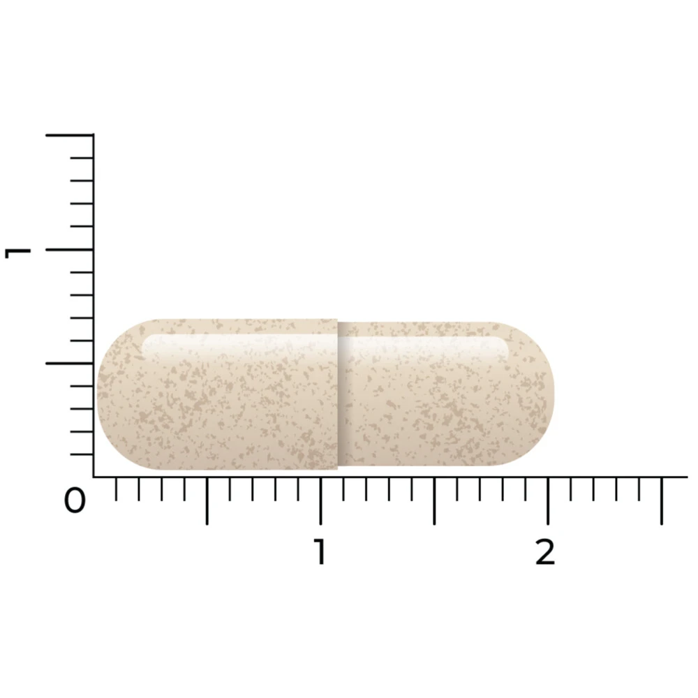 Vitakruid Ashwagandha Ksm 5 Vitakruid Ashwagandha Ksm - Afbeelding 3