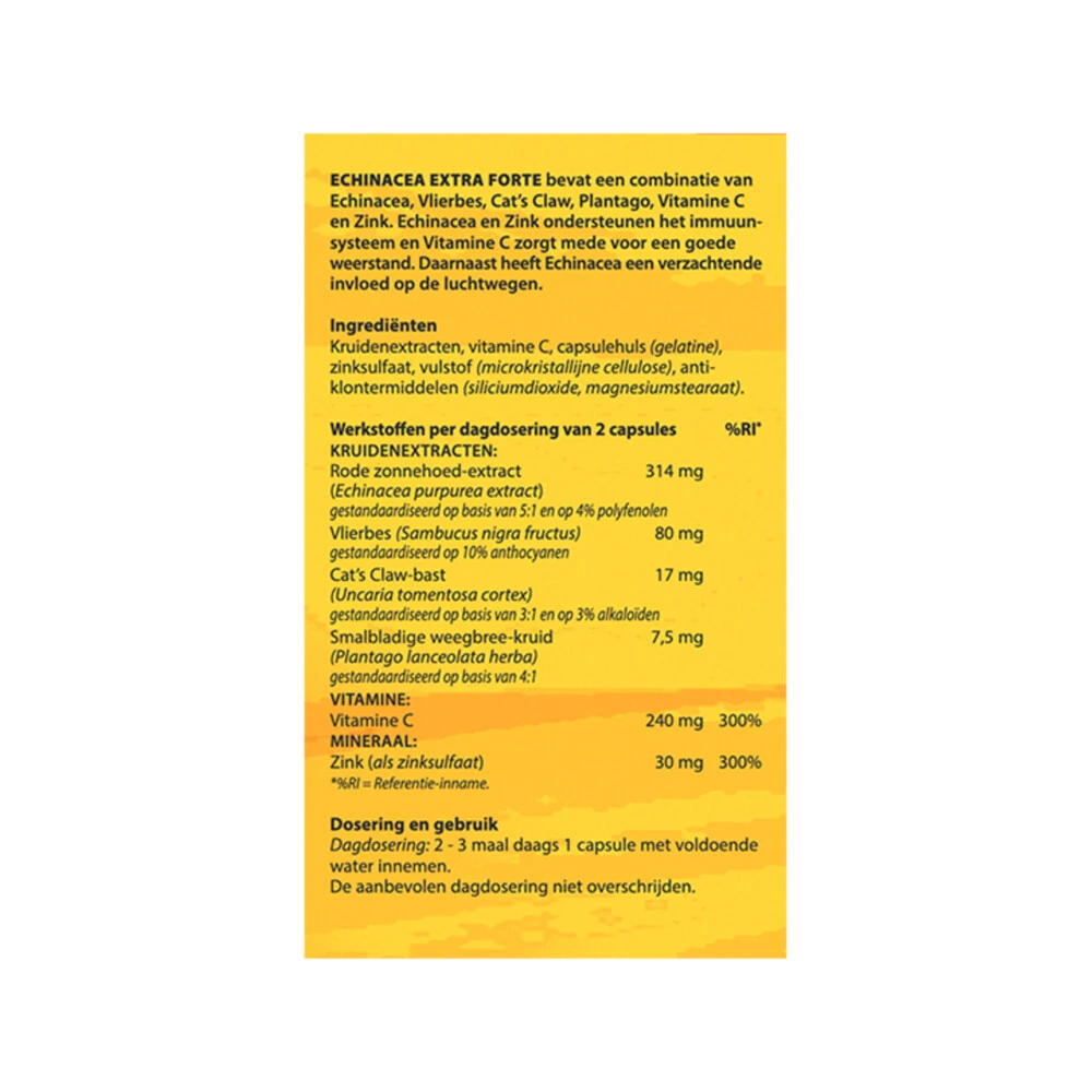 Bloem Echinacea 4 Bloem Echinacea - Afbeelding 2