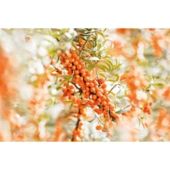 Metagenics Winkel -Metagenics Winkel 995763 2