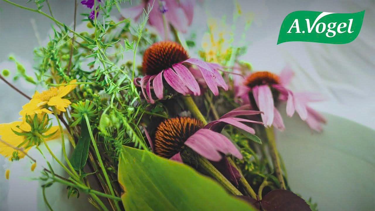 Metagenics Winkel -Metagenics Winkel z6707707048631 aaed51ebe69a104b203694082a534597